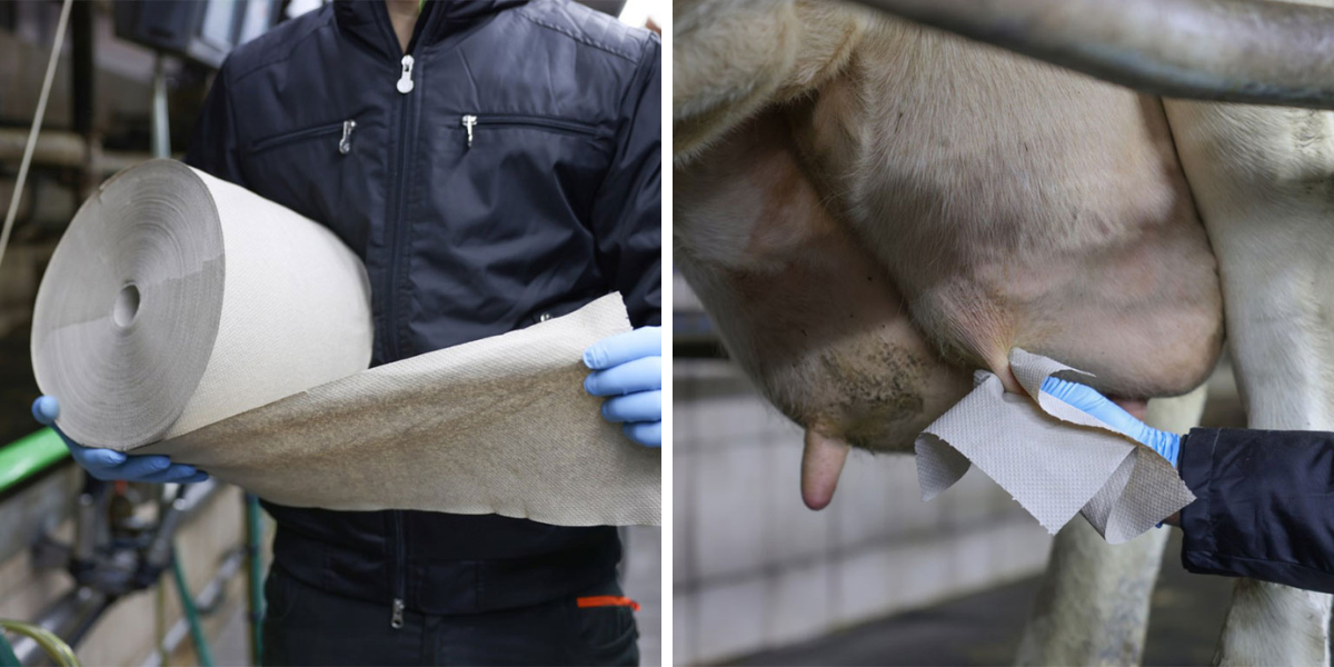 uterky-na-vemena-kerbl-15798-stimuclean-25x19-2cm-2x780-utrzku-s-kartonovym-jadrem-sede-vyuziti